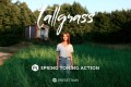 PS森系绿色调人像风景户外婚礼摄影滤镜调色ATN动作 Tallgrass Photoshop Action