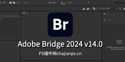 Adobe Bridge 2024 v14.0 照片管理工具_集中管理您的创意资源! Adobe Bridge 2024 v14.0 照片管理工具_集中管理您的创意资源!