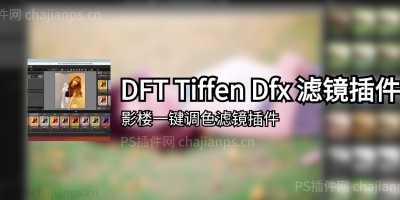 DFT Tiffen Dfx 影楼一键调色滤镜PS汉化插件_超2000种滤镜特效! DFT Tiffen Dfx 影楼一键调色滤镜PS汉化插件_超2000种滤镜特效!