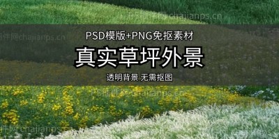 20款真实草地草坪草丛野花绿化园林景观高清PSD模版/PNG免抠素材 20款真实草地草坪草丛野花绿化园林景观高清PSD模版/PNG免抠素材