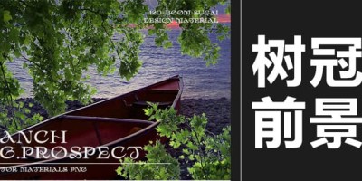 120款树枝树冠前景真实植物树叶装饰景观元素PNG免抠素材 120款树枝树冠前景真实植物树叶装饰景观元素PNG免抠素材