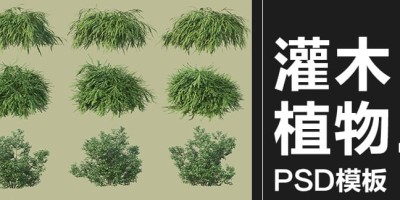 140款灌木草类园林植物树木景观绿化绿植装饰PSD模板设计素材 140款灌木草类园林植物树木景观绿化绿植装饰PSD模板设计素材