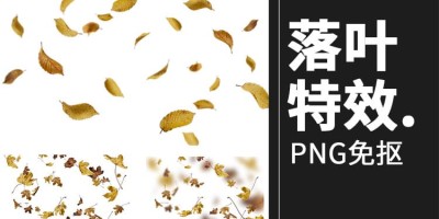 53款秋天金色落叶秋季红色枫叶飘落后期装饰PNG免抠设计素材 53款秋天金色落叶秋季红色枫叶飘落后期装饰PNG免抠设计素材