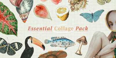 70款美式复古水果海洋动物植物人物手账艺术拼贴PNG免抠设计素材 70款美式复古水果海洋动物植物人物手账艺术拼贴PNG免抠设计素材