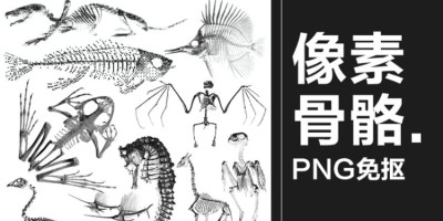 50款黑白像素风动物骨骼骨架复古化石装饰贴纸PNG免抠设计素材 50款黑白像素风动物骨骼骨架复古化石装饰贴纸PNG免抠设计素材
